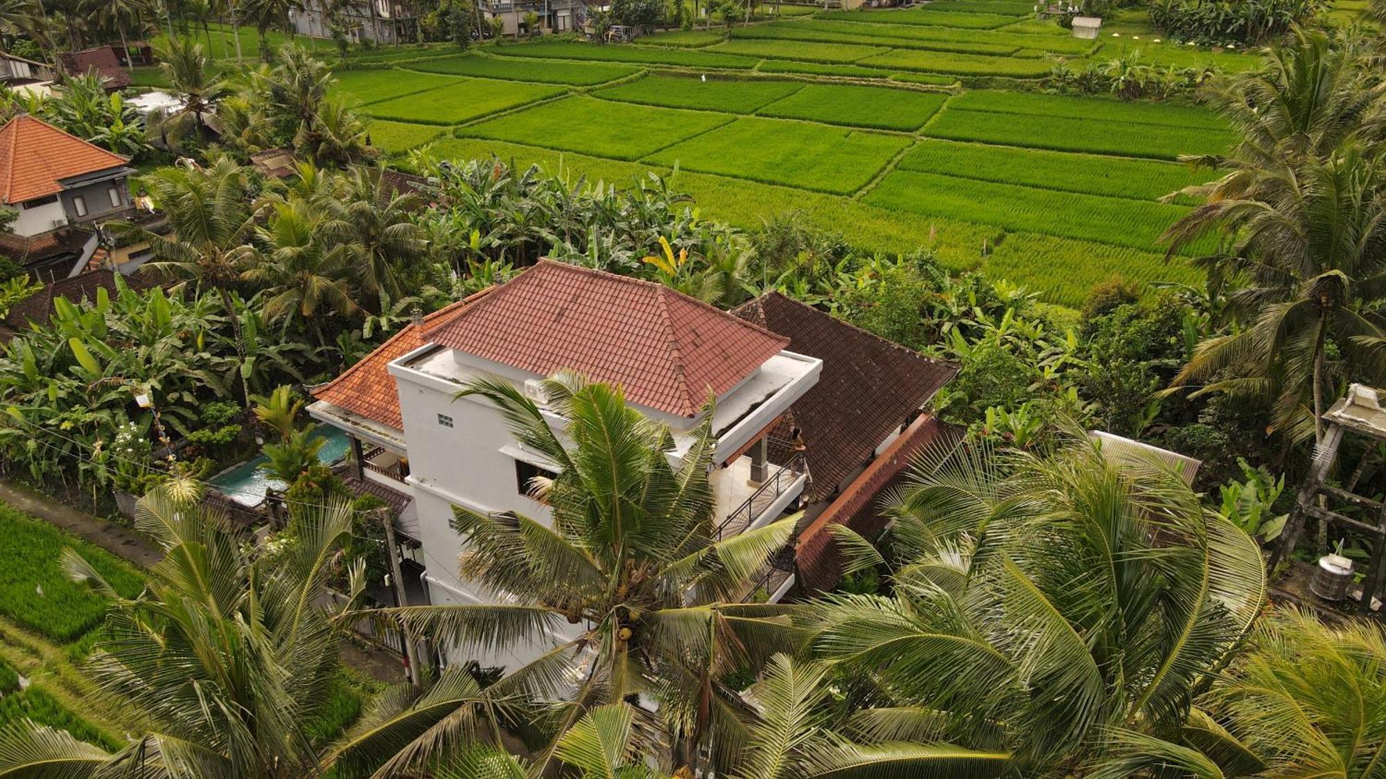 Nirwa 1 Ubud Guesthouse Eksteriør billede